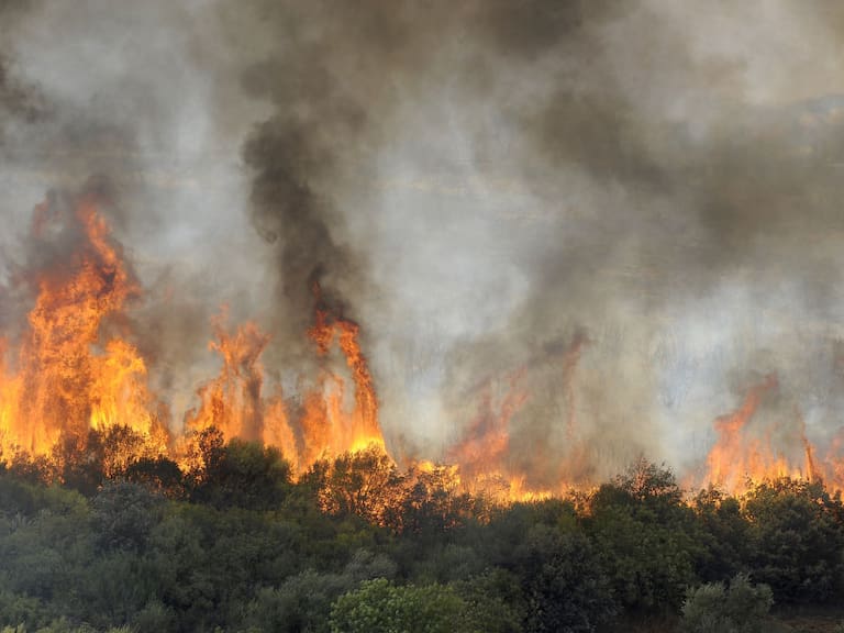 Los equipos de emergencia enfrentan los incendios forestales en Argelia