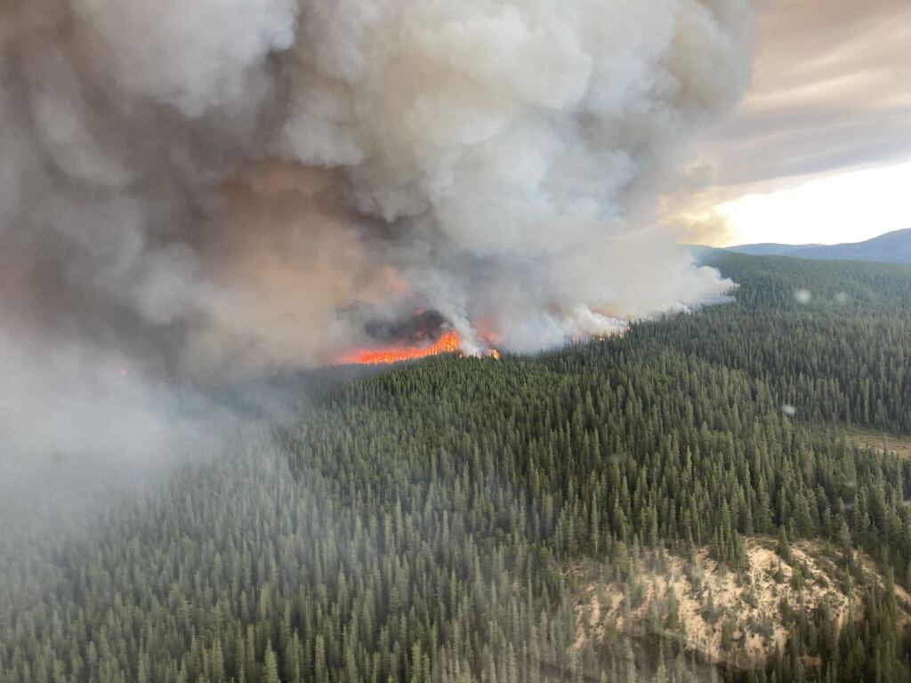 El fuego consume un bosque en una de las regiones de Canadá