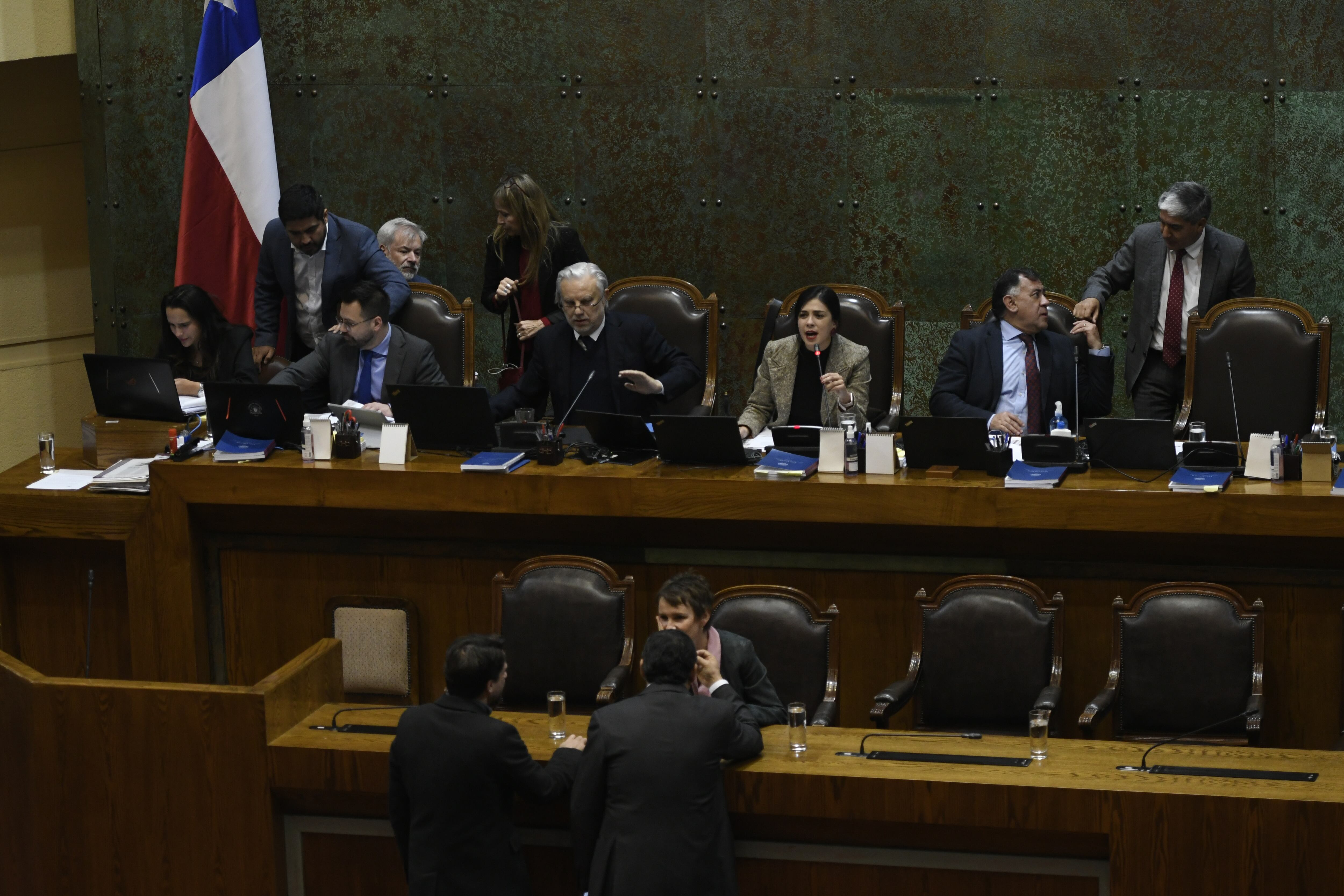 03 DE MAYO DE 2024 / VALPARAISOTestera , durante la sesion especial donde discuten reglas del uso de la fuerza y el proyecto que crea el Ministerio de Seguridad Pública.FOTO: PABLO OVALLE ISASMENDI/  AGENCIAUNO