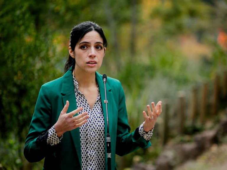 5 de junio de 2026/SANTIAGOLa ministra del Medio Ambiente, Francisca Toledo, da un punto de prensa en el cerro San Cristóbal, durante una actividad de reforestación realizada por el día mundial del medioambiente.
FOTO: HANS SCOTT/AGENCIAUNO