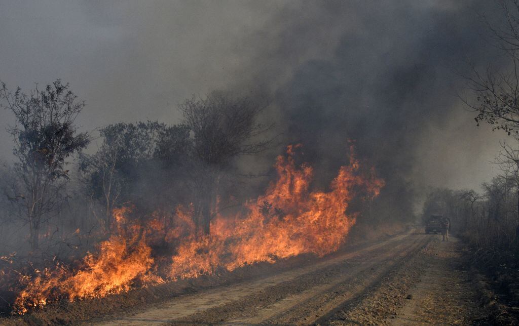 Imágenes del incendio forestal en San Matias en Bolivia