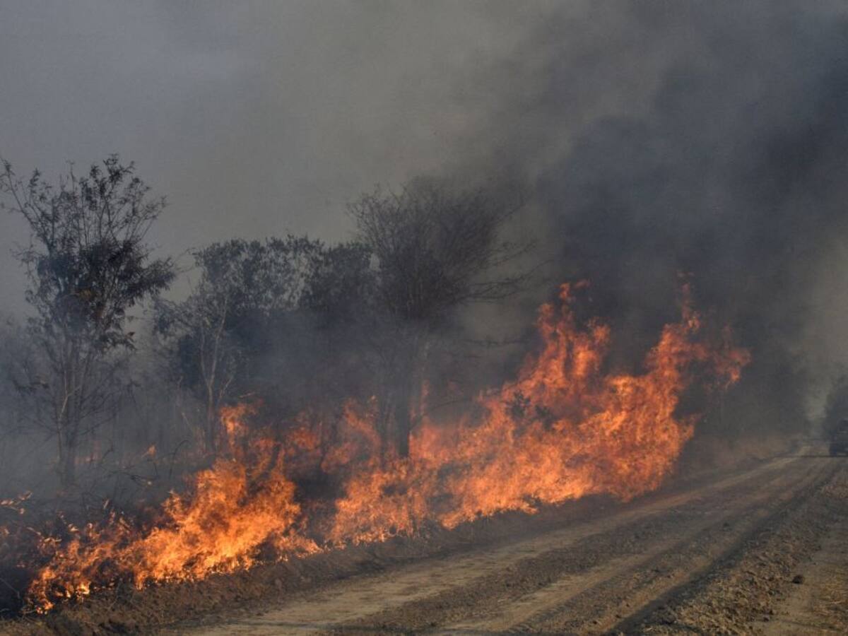 Bolivia: incendios forestales queman casi 300.000 hectáreas