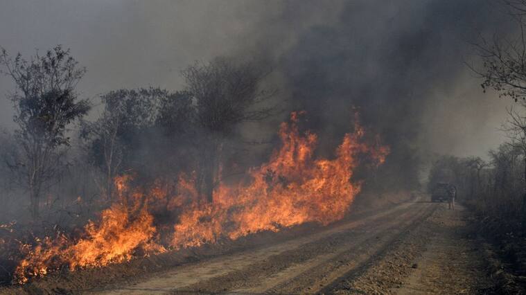 Imágenes del incendio forestal en San Matias en Bolivia