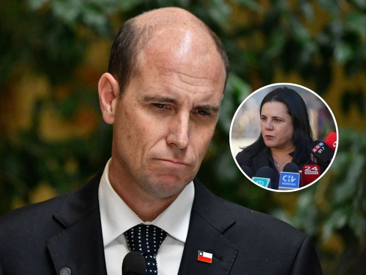 Ministro Arrau y duro informe contra Steinert: “Valoramos la labor de la exministra y de Contraloría”