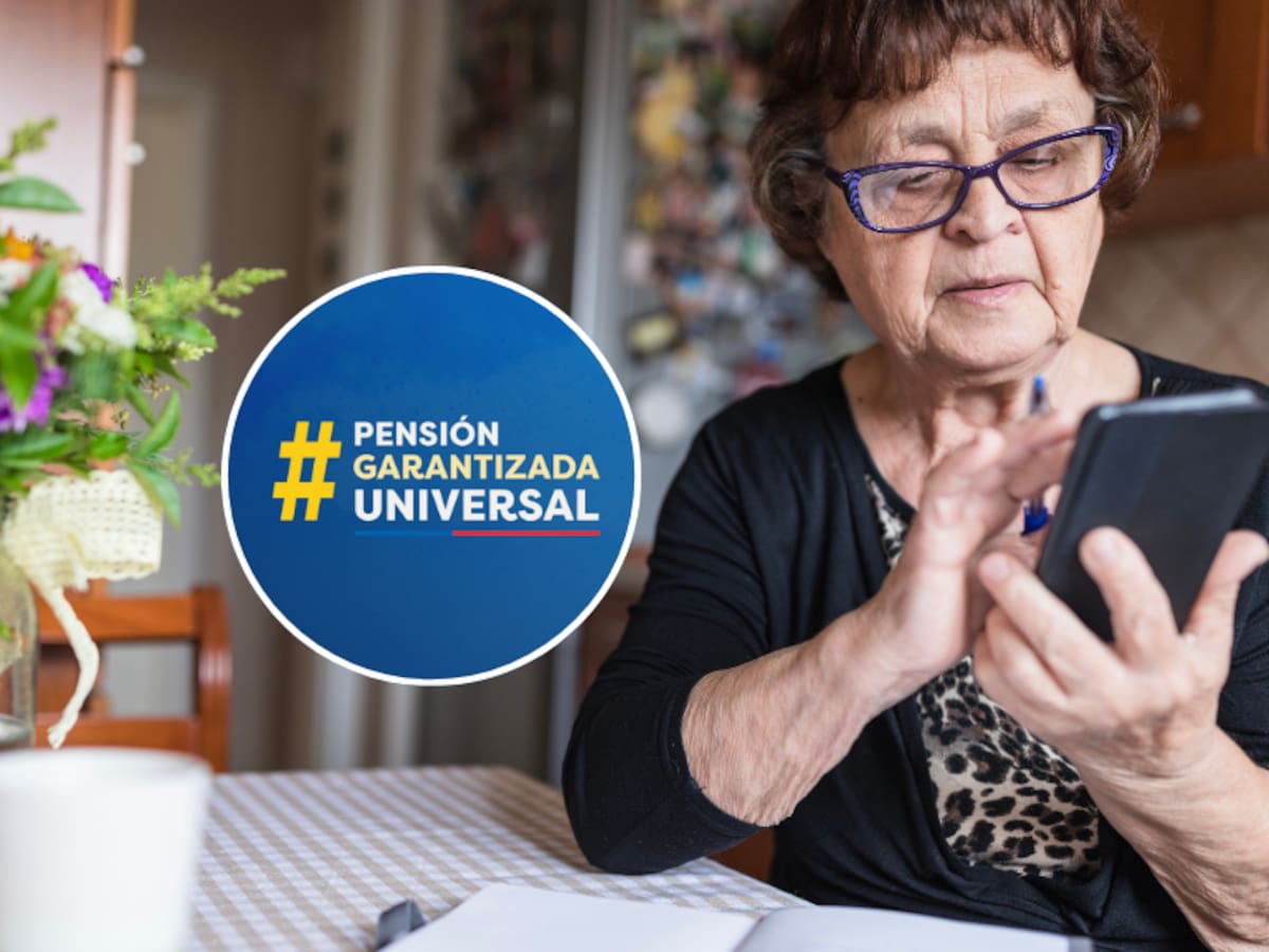 Gobierno pone la lupa sobre la PGU antes del Presupuesto 2027: revisarán lista de beneficiarios