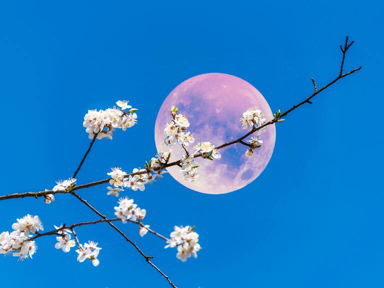 Luna Rosa en Chile: cada cuánto tiempo se puede ver el fenómeno meteorológico protagonizado por el satélite natural