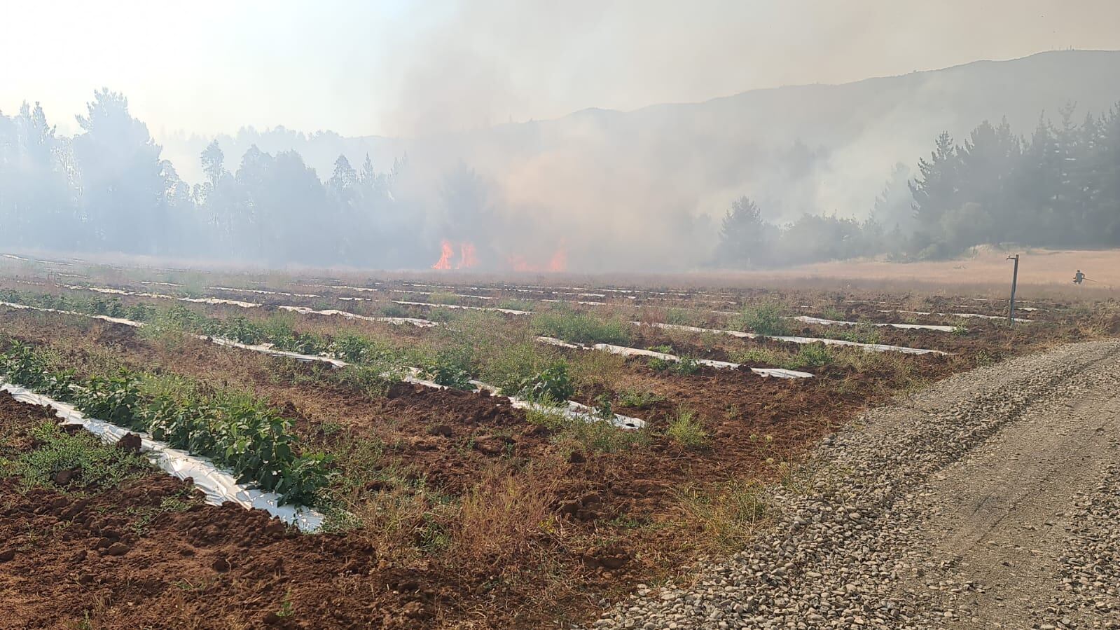 La Onemi pidió evacuar zona de La Esmeralda por incendio forestal