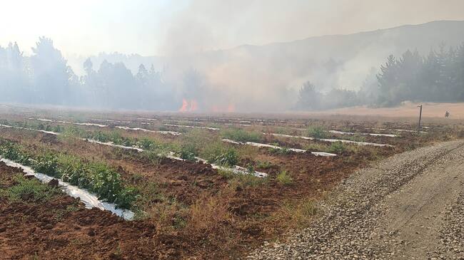 La Onemi pidió evacuar zona de La Esmeralda por incendio forestal