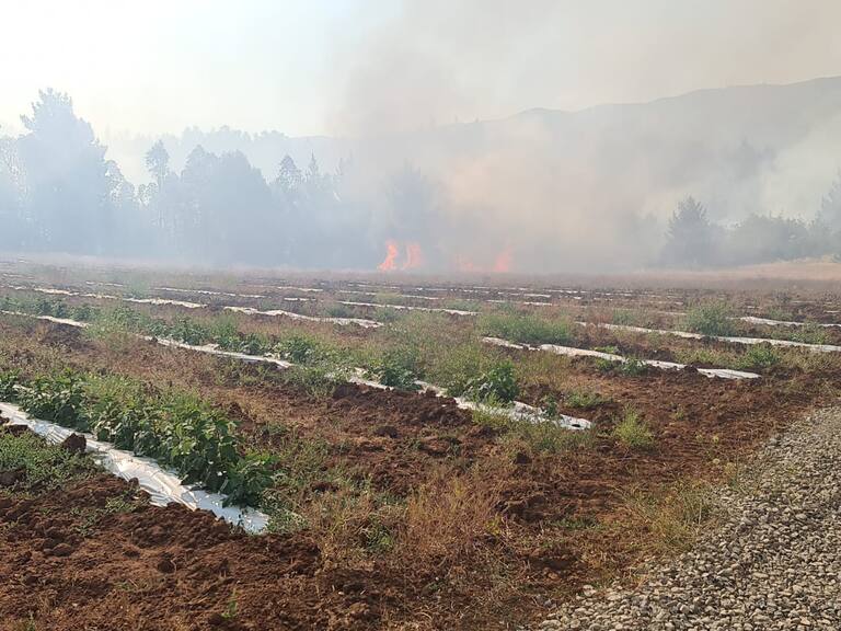 La Onemi pidió evacuar zona de La Esmeralda por incendio forestal