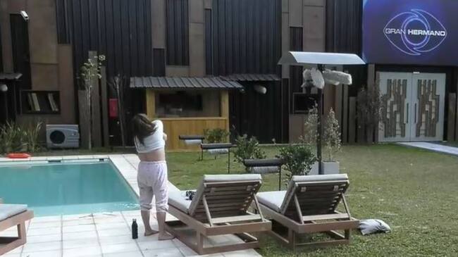 Pincoya Gran Hermano