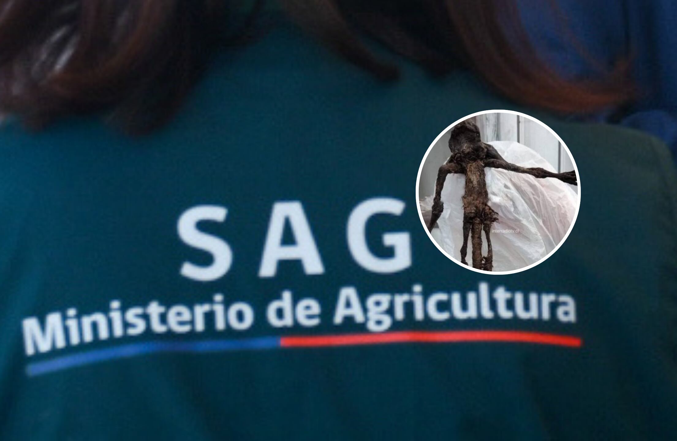Agencia Uno - Captura