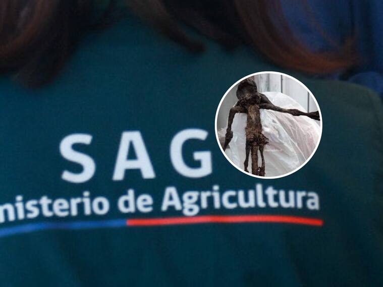Agencia Uno - Captura