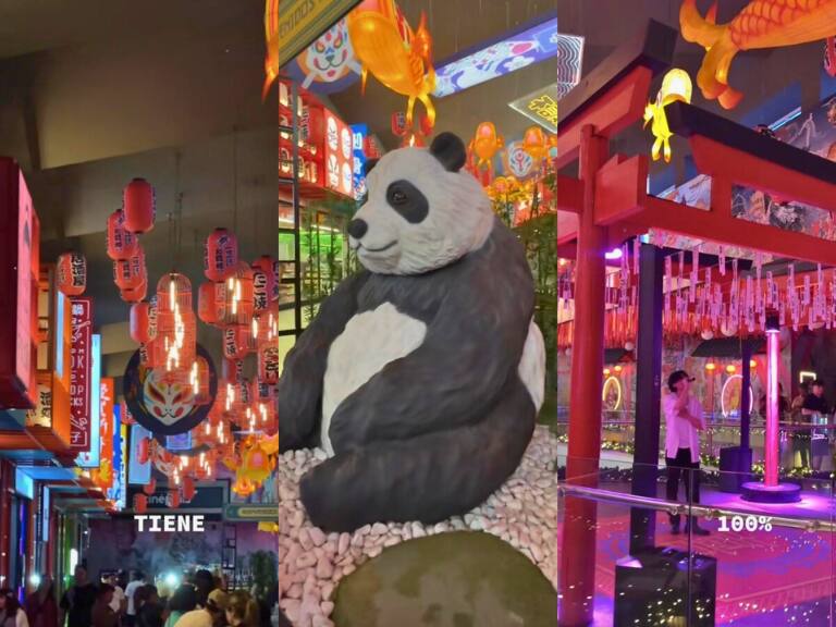 Es como andar por un barrio de Corea: así es el Callejón Asiático en pleno Santiago que está lleno de comercio oriental