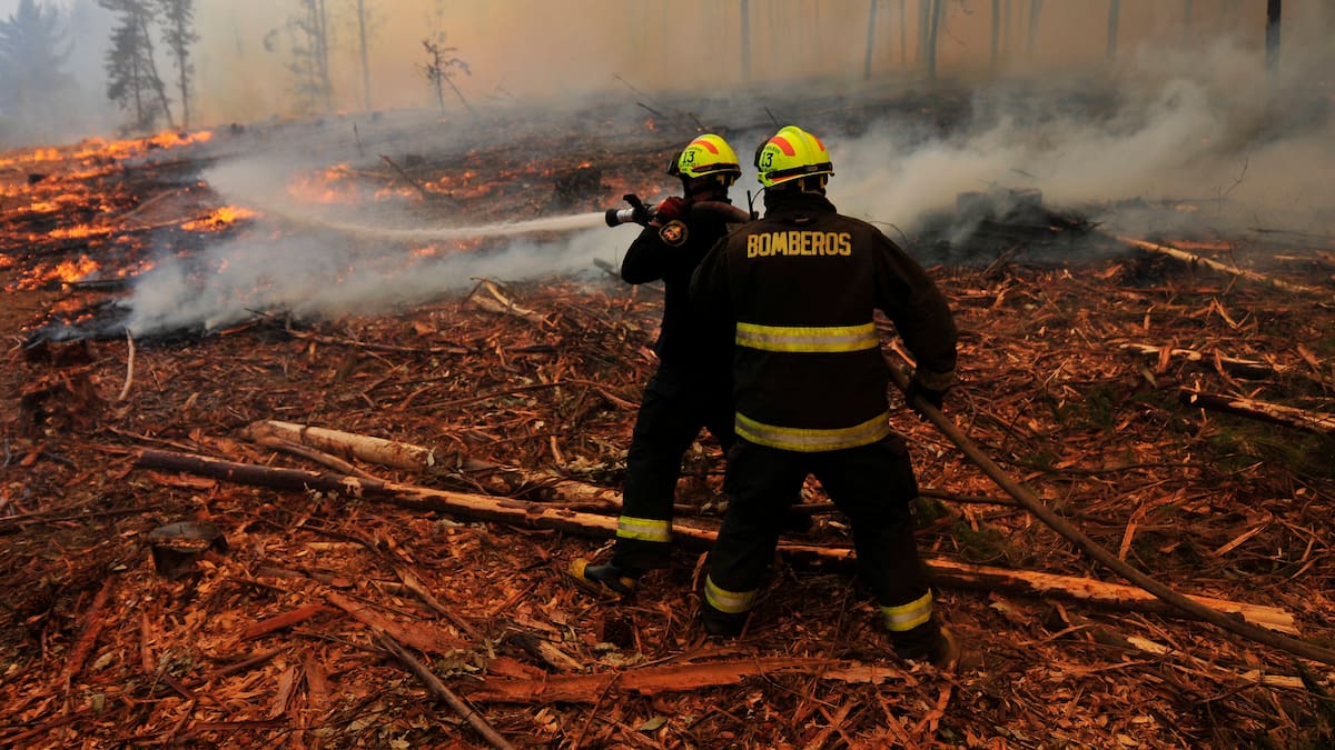 Incendio Forestal en O’Higgins: declaran Alerta Roja en Rancagua y se reporta dos viviendas destruidas por las llamas