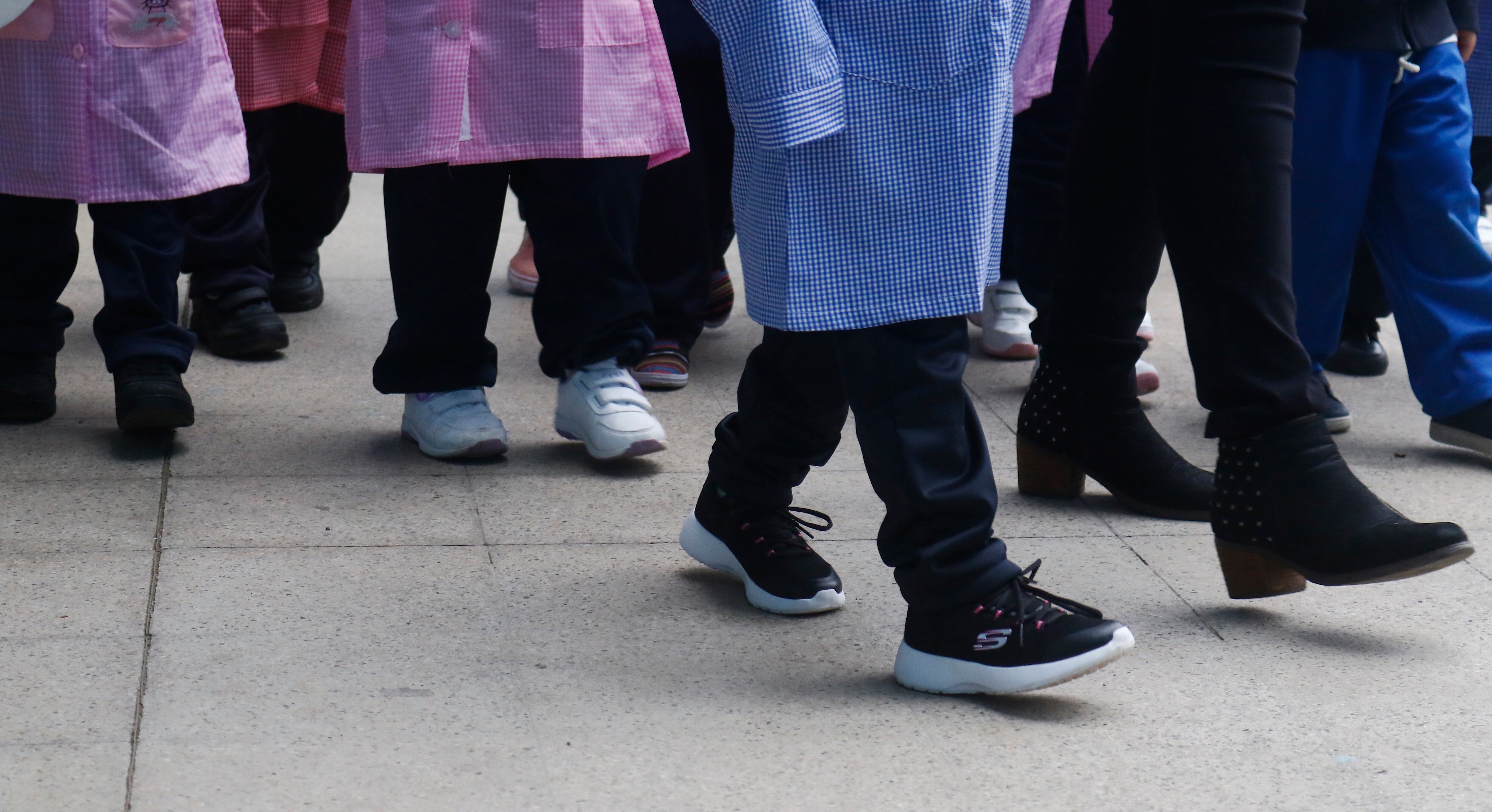 Directora de Niños Primero sobre rechazo del kínder obligatorio | Agencia Uno