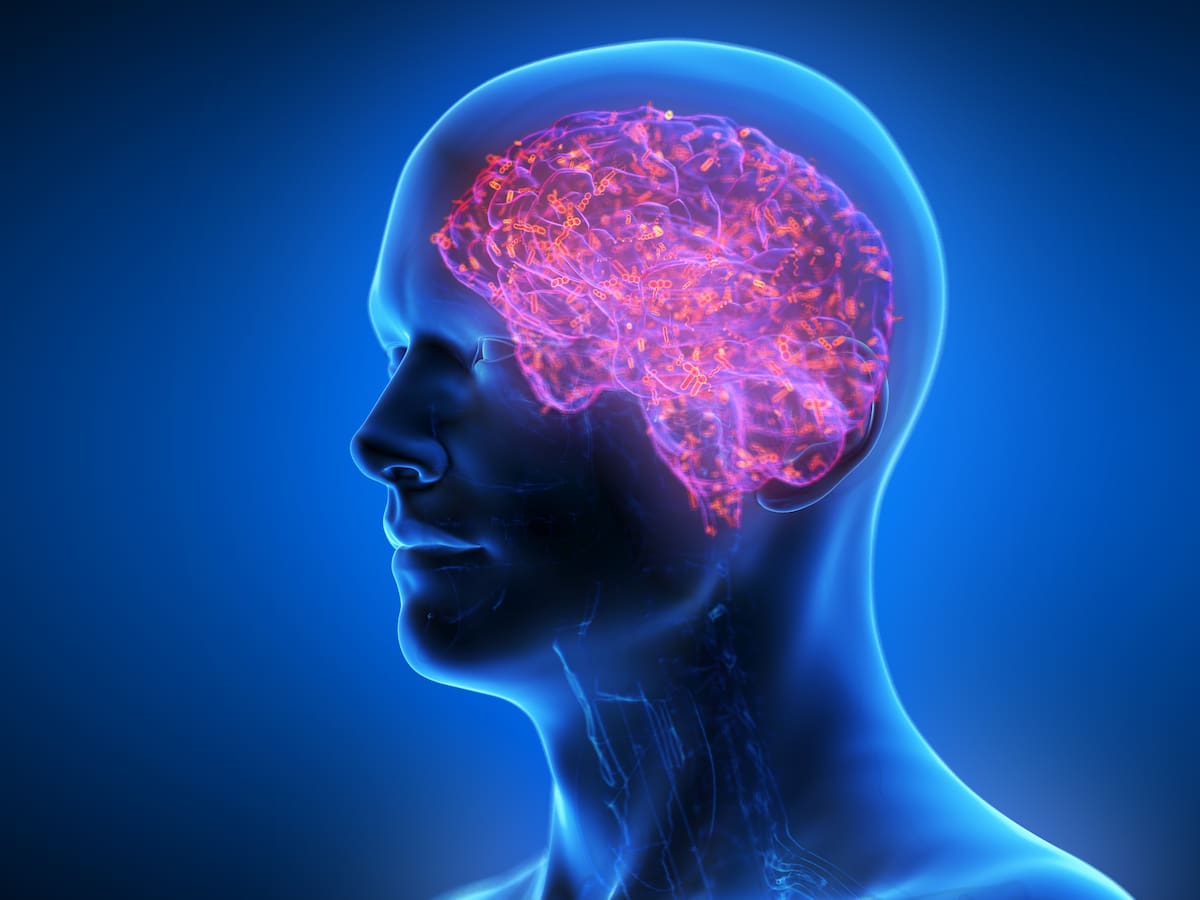 Tu cerebro decide qué comer antes de que tú lo sepas, según nuevo estudio