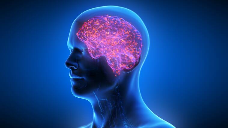 Cerebro