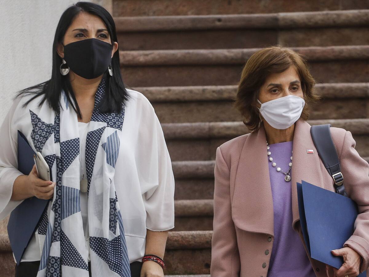Vocera de gobierno y plan “Paso a paso”: Hay que “aprender a vivir en el modo coronavirus”