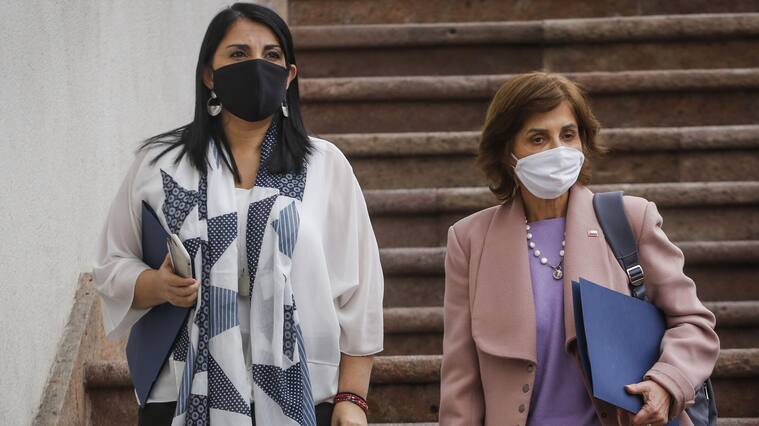 Vocera de gobierno y plan “Paso a paso”: Hay que “aprender a vivir en el modo coronavirus”