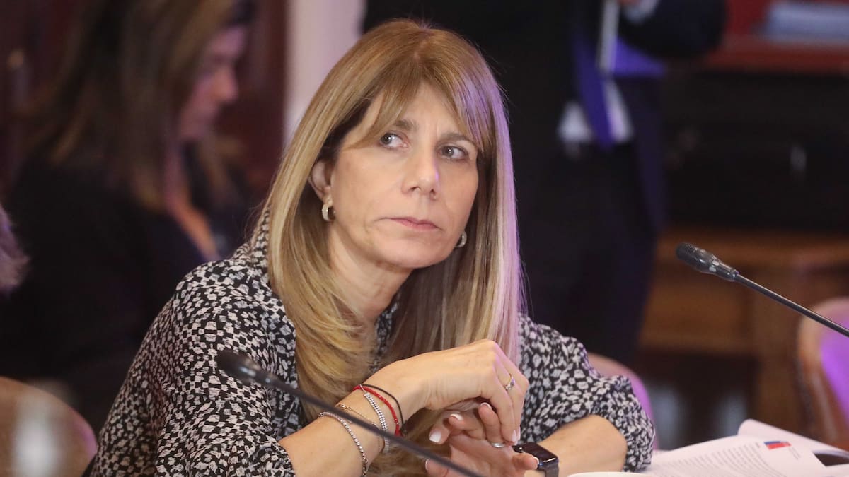 Gobierno evalúa ayudas por nueva alza de la luz: diputado Tapia (PPD) pide a la SEC postergar aumento