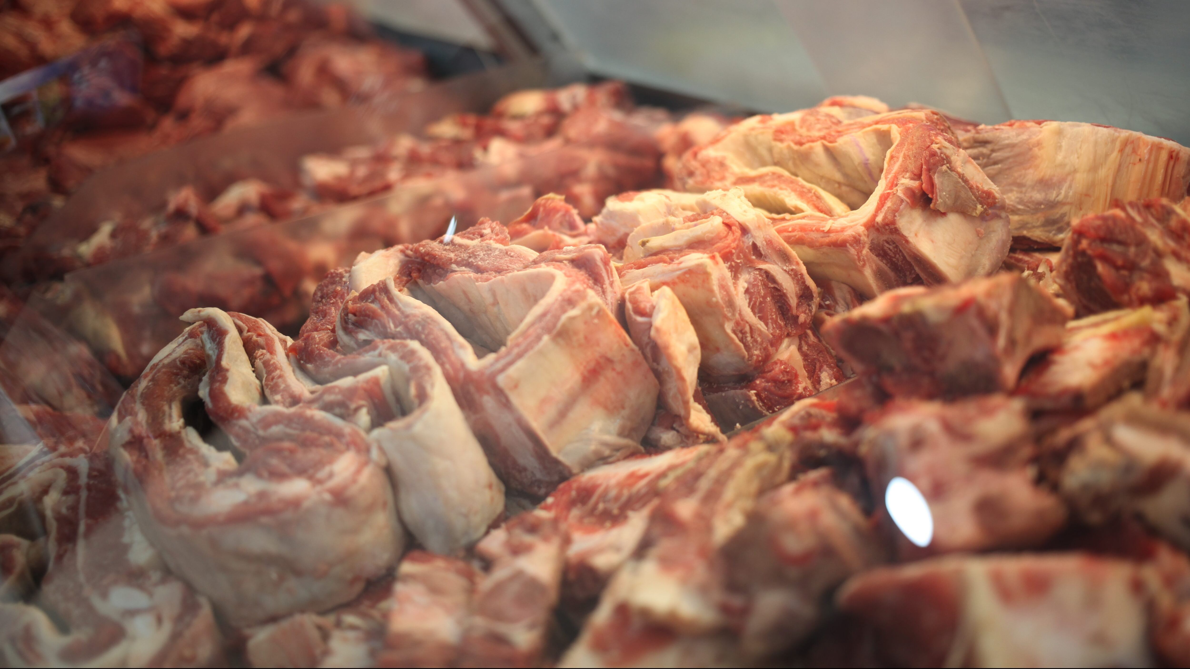 02 DE SEPTIEMBRE DE 2020/SANTIAGO
Diferentes tipos de carne se encuentran a la venta en el local donde se lleva a cabo el operativo de fiscalización a la Ley de Carnes, previo a las Fiestas Patrias, en Carnicería Susaron, ubicada en Avenida Matta 1102, esquina San Diego. Santiago
FOTO: AILEN DÍAZ/AGENCIAUNO