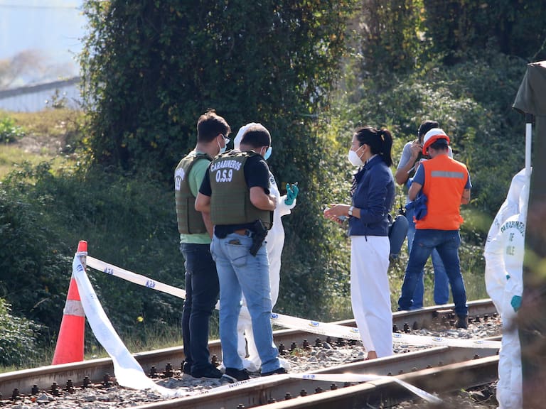 Región de Los Ríos: tren de carga atropella y da muerte a hombre de 50 años en Lanco