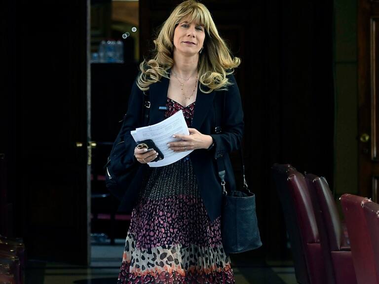 Consejo Constitucional: Demócratas anuncia que no pactarán "ni con la izquierda ni con la derecha"