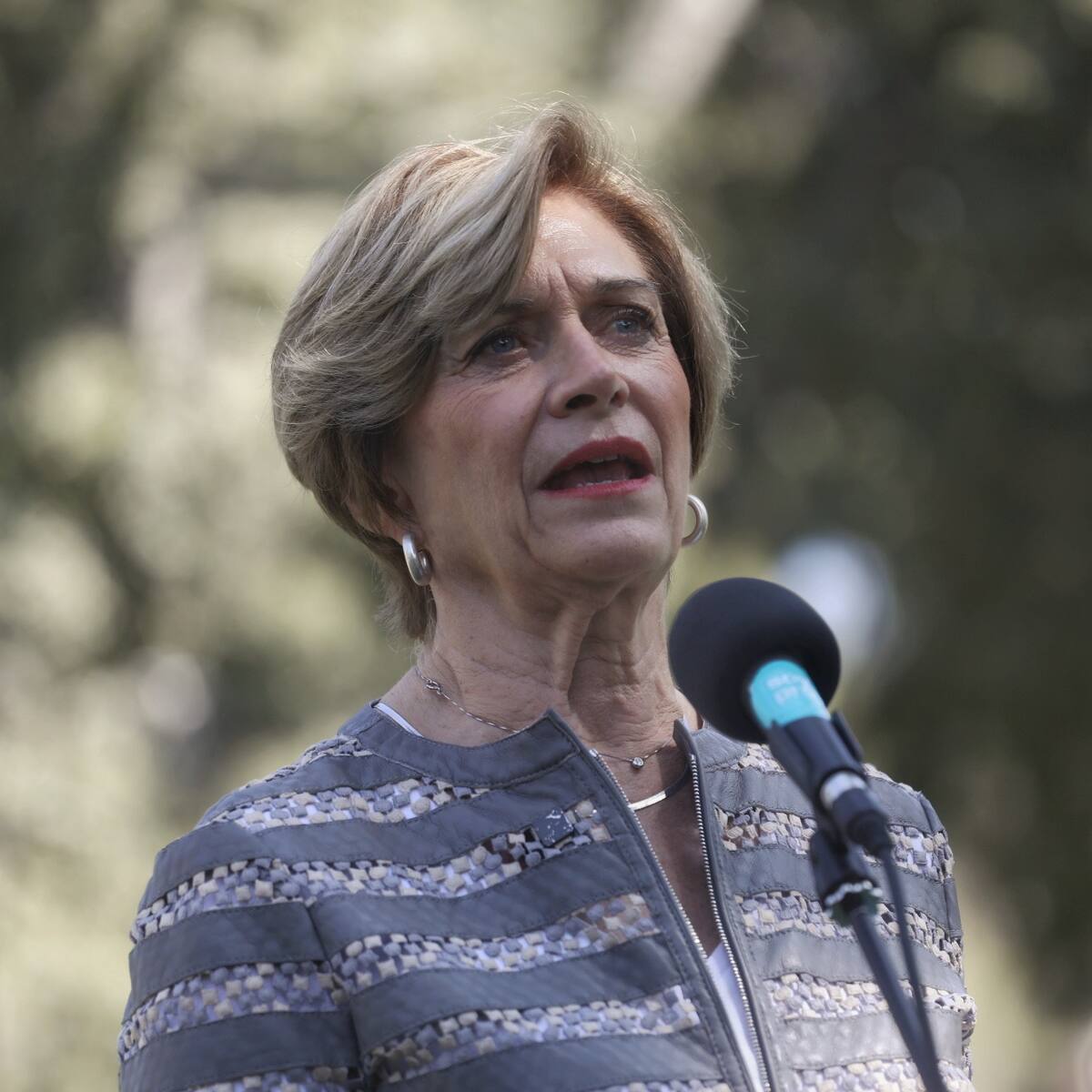 Desde muros a zonas con dinamitas: Evelyn Matthei propone “todo tipo de obstáculos” en la frontera como medida ante la crisis migratoria