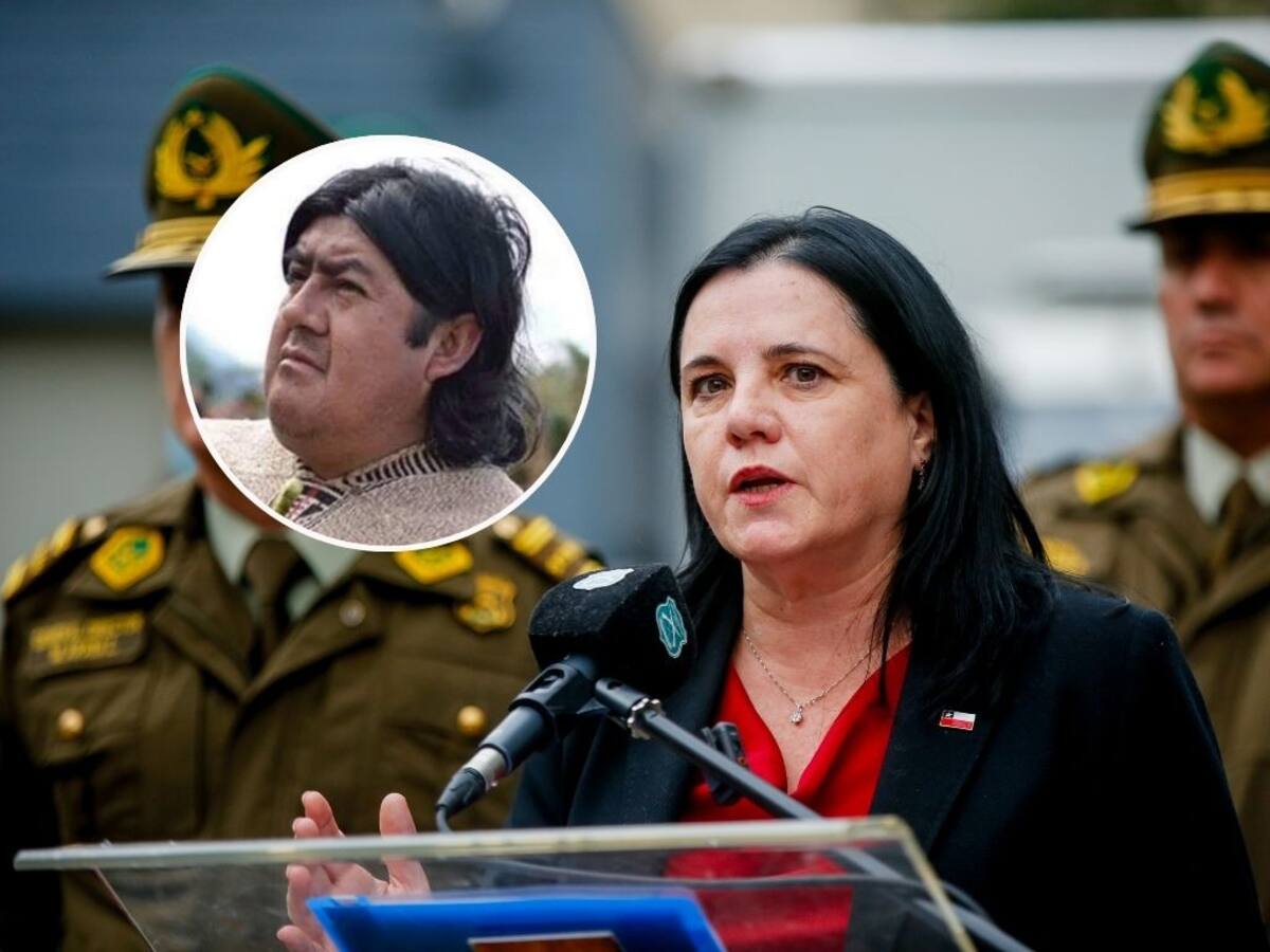 Ministra Steinert tras operativo en Temucuicui y detención de Jorge Huenchullán: “Recuperando el control del territorio”