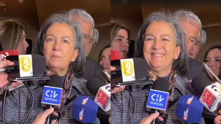 “Ya pasó”: temblor en zona central de Chile sorprende a ministra de Salud en medio de declaraciones