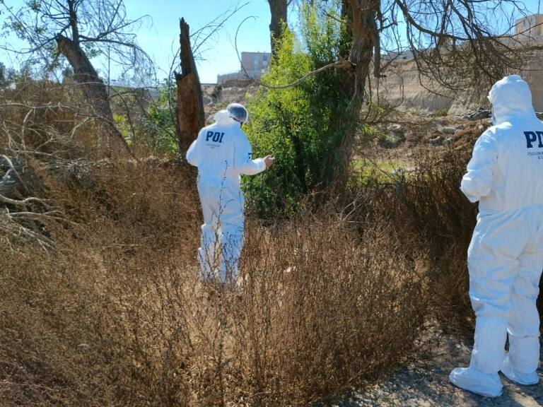 Funcionarios municipales encuentran restos humanos en Coquimbo