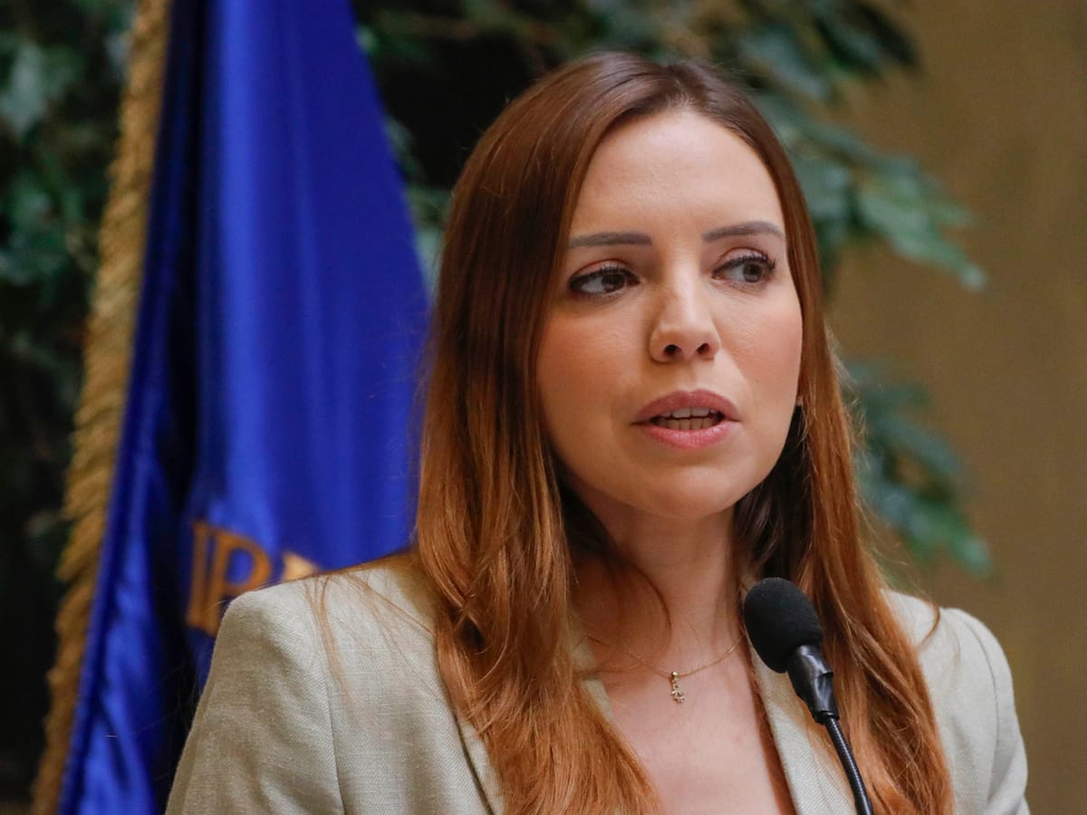 CDE evalúa querella contra Camila Flores tras antecedentes por presunto fraude al fisco