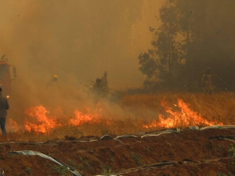 28 de Diciembre 2021/ CHILLAN.
Dueño de un predio agrícola de quillón intenta que el fuego no consuma su plantación de berries, en el marco del siniestro que consume más de 2100 hectáreas en la Región de Ñuble.
FOTO: JOSÉ CAMPOS / AGENCIA UNO