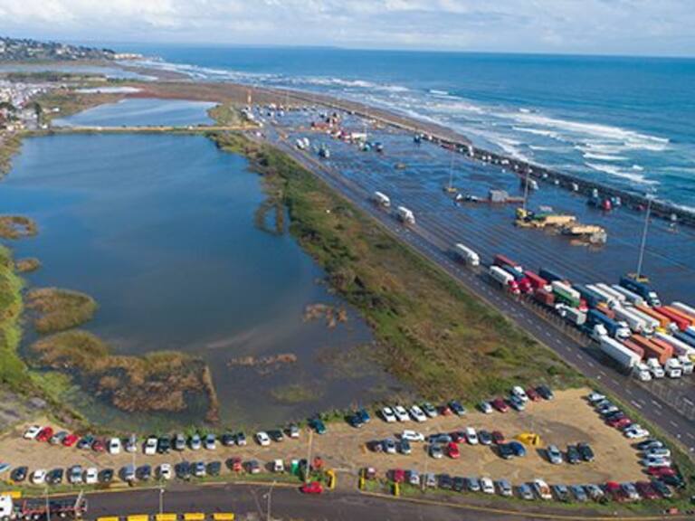 Protección para Fiu: histórico acuerdo en el Segundo Tribunal Ambiental por humedal en San Antonio