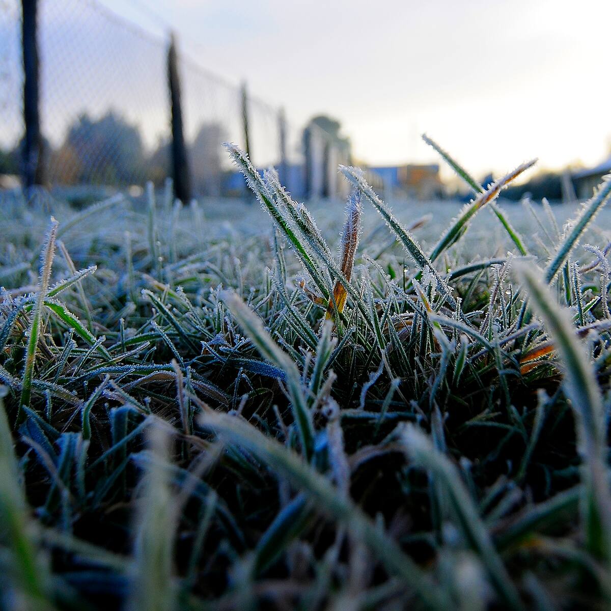 Frío extremo en el sur de Chile: temperaturas caerán hasta los -19 °C hoy martes