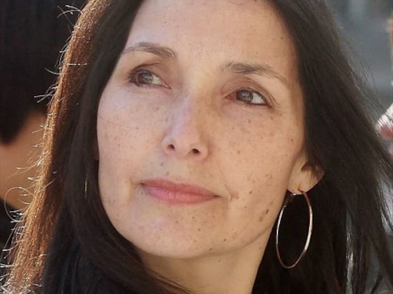 Canelo: «Los del grupo de Boric metieron un perro cuando estaba haciendo clases para amedrentarme»