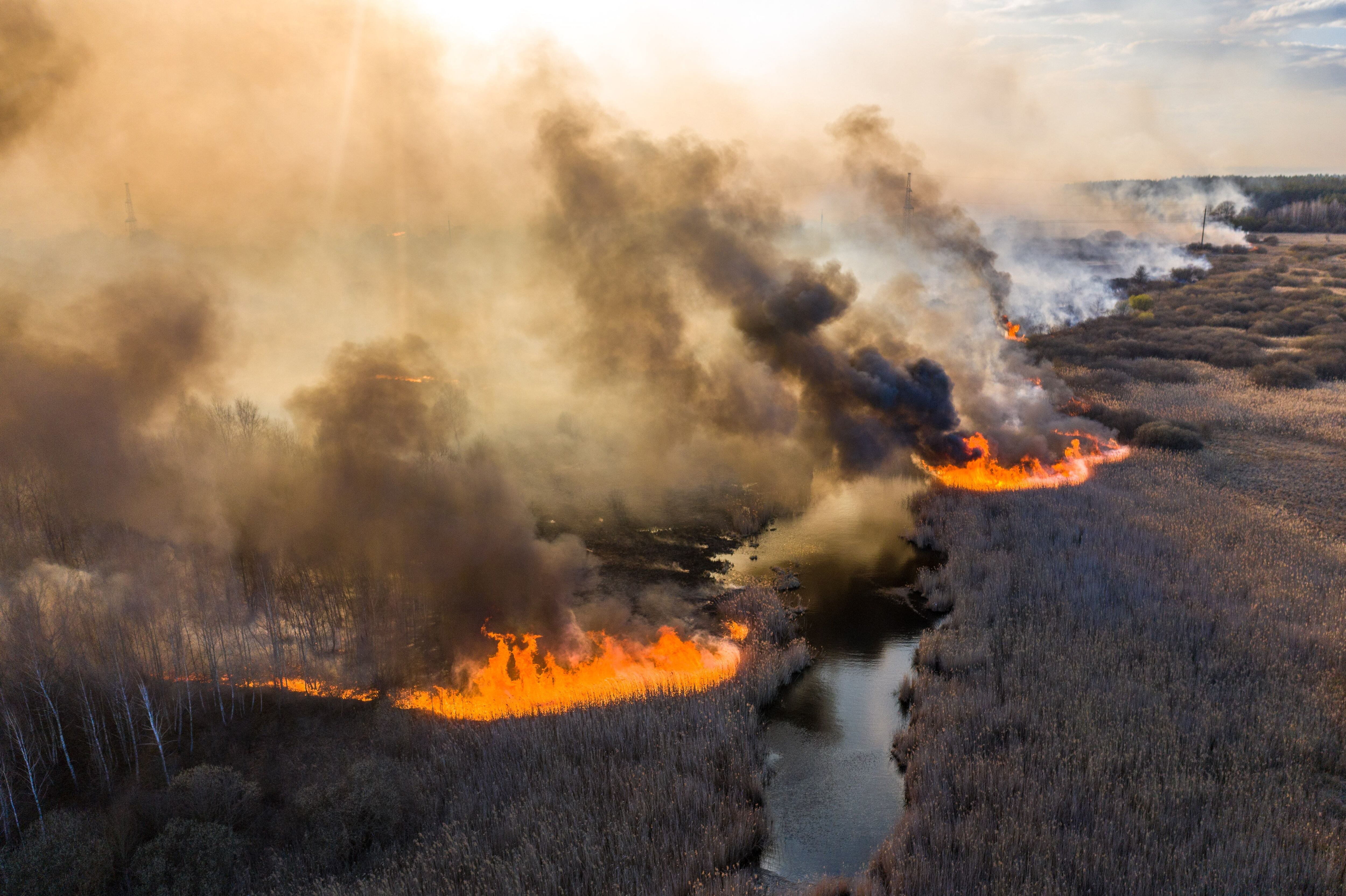 El incendio forestal sigue sin control afectando a la región ucraniana de Kiev