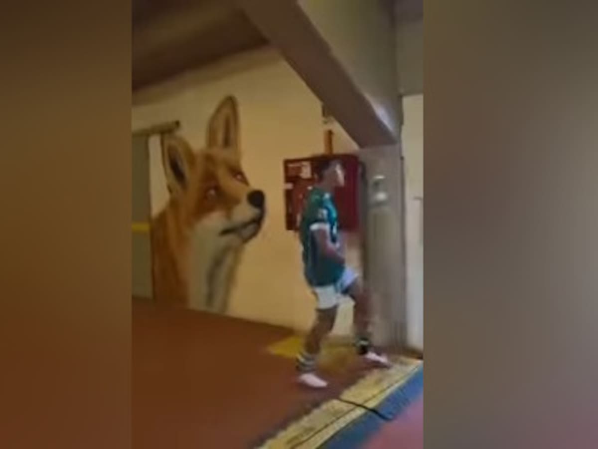Perdió la cabeza tras la roja: El polémico “Pato Yáñez” del hijo de Moisés Villarroel que se volvió viral