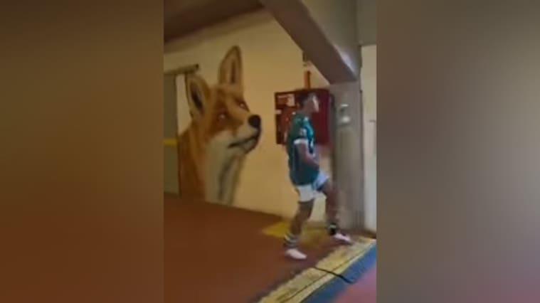 Captura de pantalla