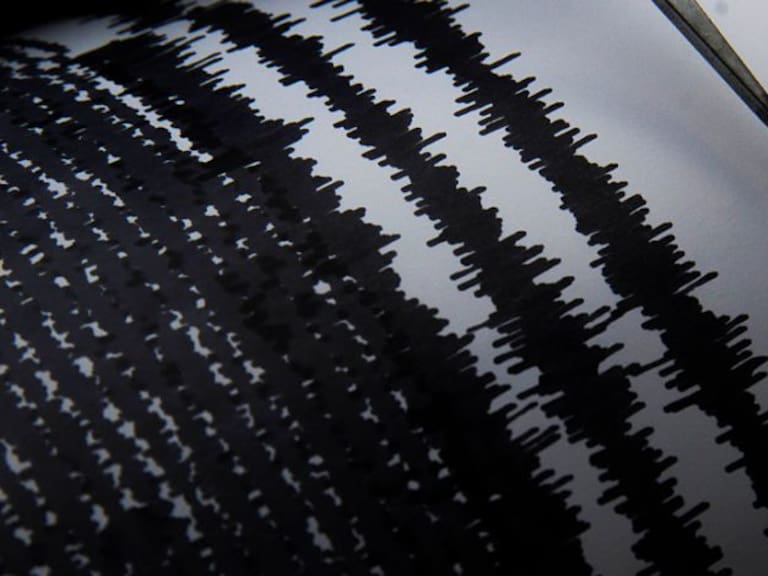 Sismo de magnitud 4.6 se sintió en la zona centro sur de Chile