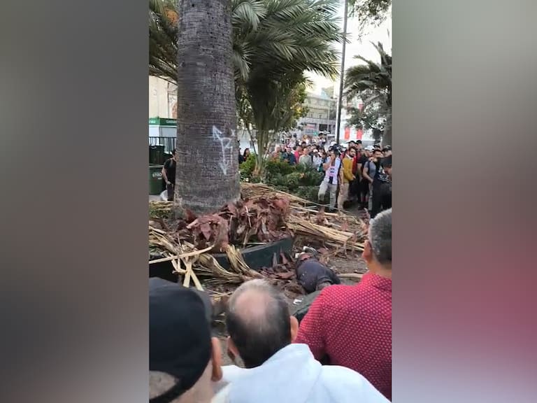 Rama de palmera cae sobre transeúnte en Plaza de Armas