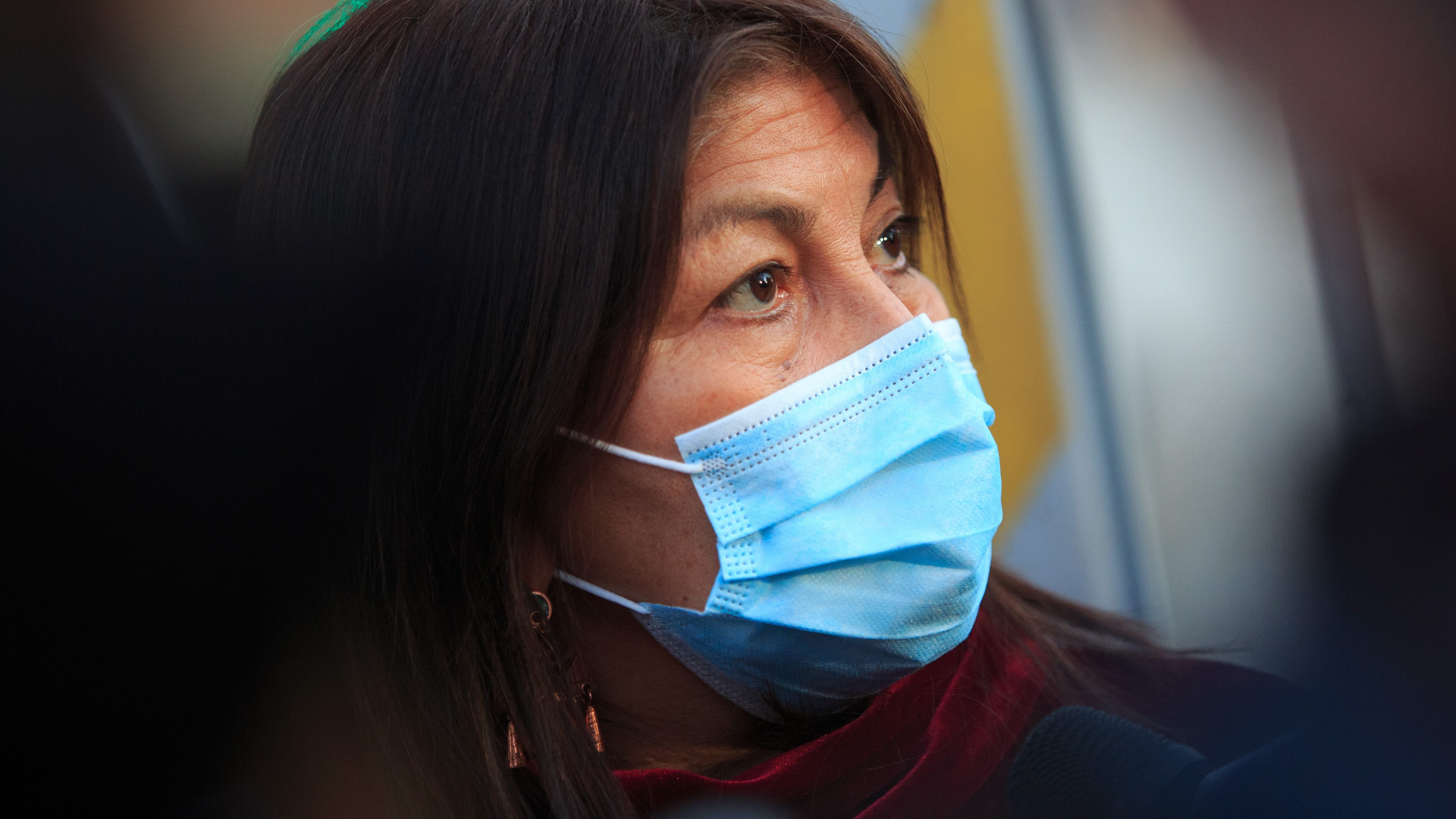 Elisa Loncón por Rodrigo Rojas Vade