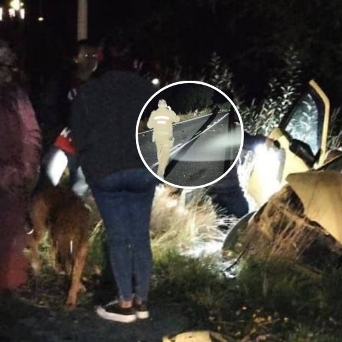 Cuatro jóvenes mueren en grave accidente en Mariquina: uno de los conductores escapó