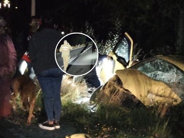 Cuatro jóvenes mueren en grave accidente en Mariquina: uno de los conductores escapó
