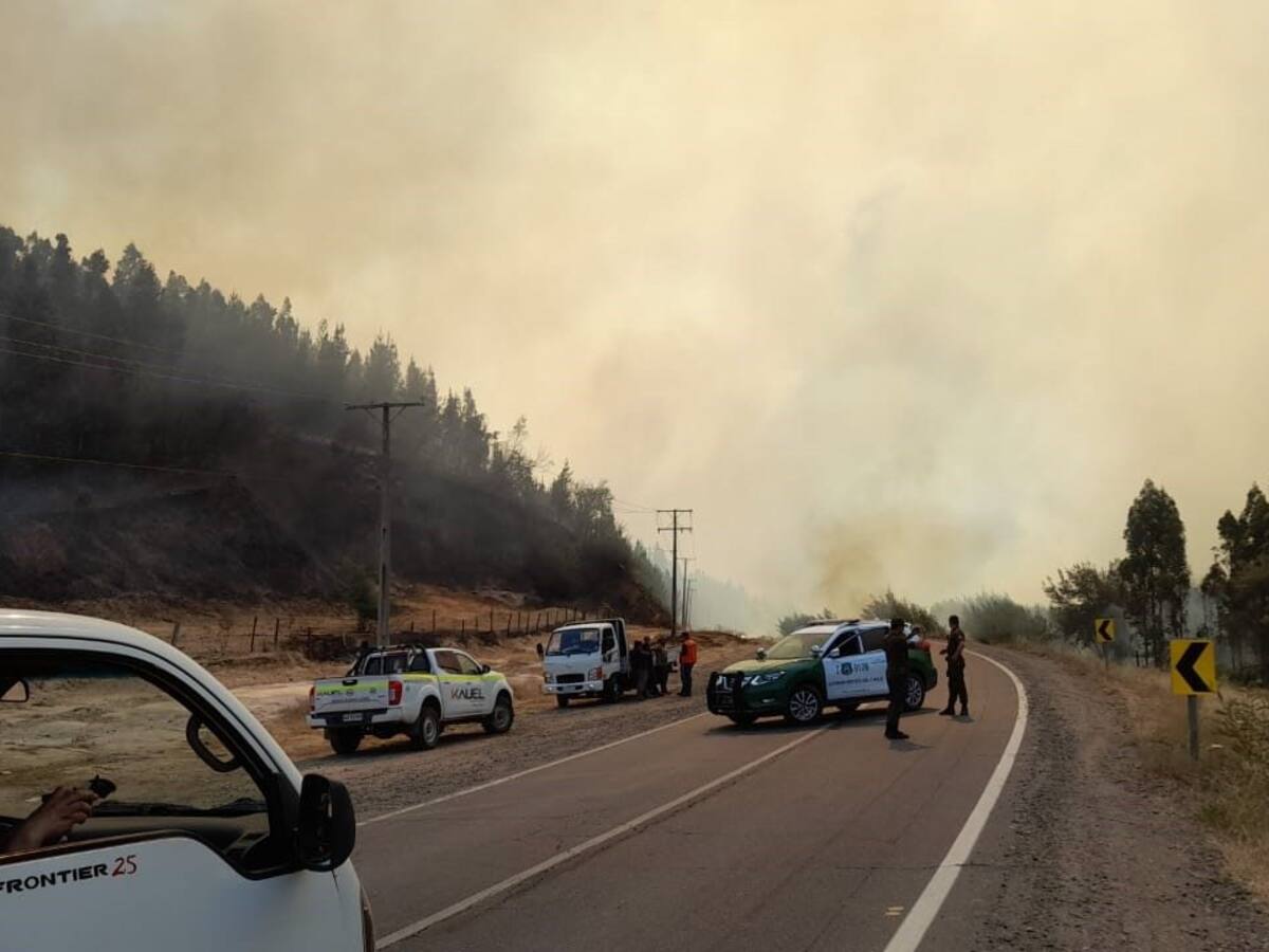 Por incendios forestales: autopista del Itata se mantiene cerrada de manera preventiva