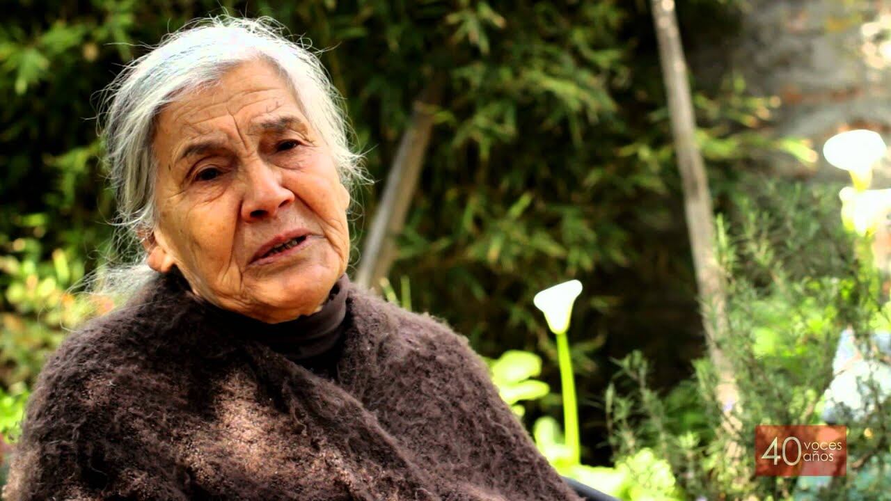 Luisa Toledo, madre de los hermanos Vergara Toledo, se encuentra en delicado estado de salud