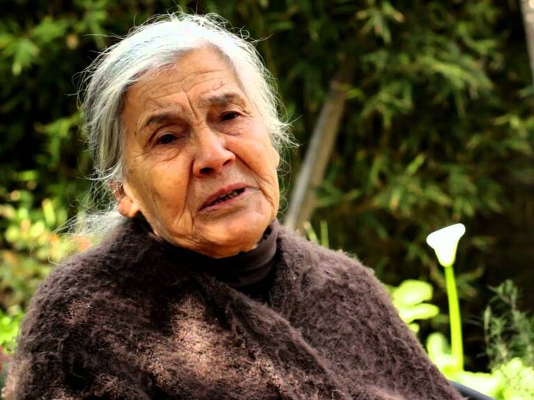 Luisa Toledo, madre de los hermanos Vergara Toledo, se encuentra en delicado estado de salud