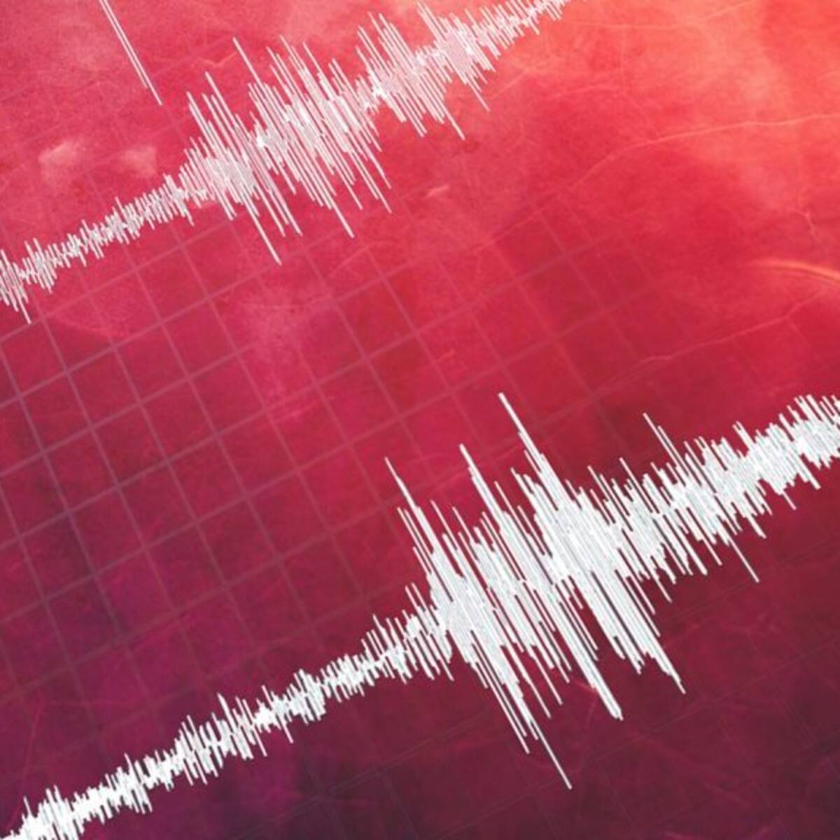 SHOA descarta riesgo de tsunami en Chile tras terremoto 7,1 registrado en Japón