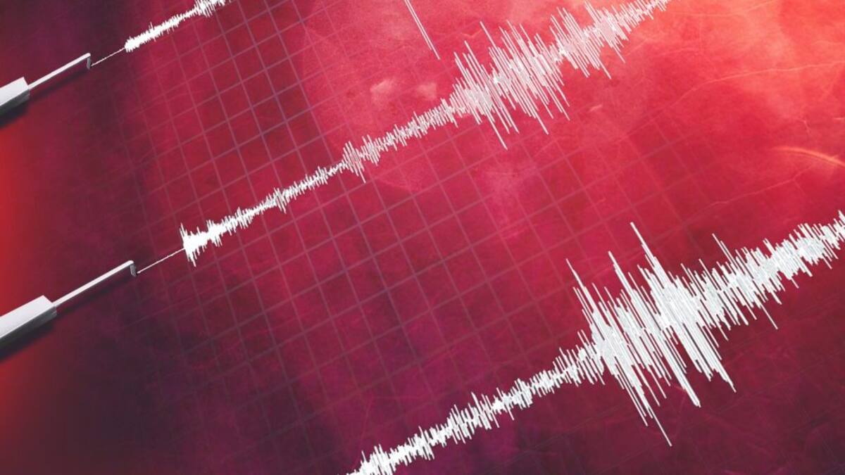 SHOA descarta riesgo de tsunami en Chile tras terremoto 7,1 registrado en Japón