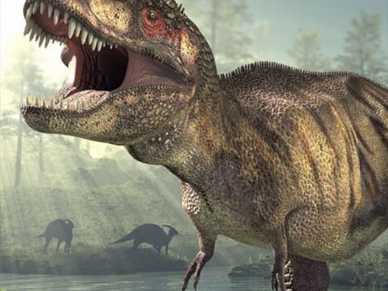 Estudio asegura que el Tiranosaurio Rex tenía labios